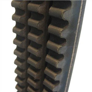 Banded Wedge Raw Edge Cogged Belt